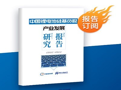 (bo)rtЇ늳عؓ(f)Oa(chn)I(y)l(f)չо(bo)棨2022~2023ذƳ