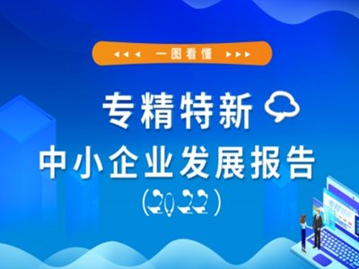 һDСI(y)l(f)չ棨2022棩