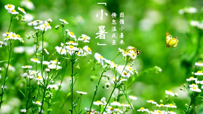 倏忽溫風(fēng)至，因循小暑來(lái)-二十四節(jié)氣 小暑.jpg