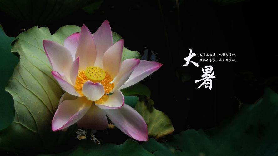 大暑節(jié)氣，是夏季的最后一個(gè)節(jié)氣.jpeg