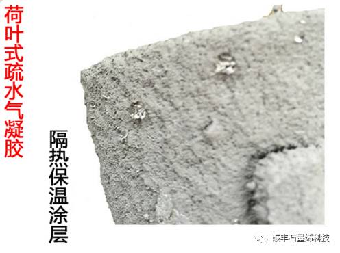 微信圖片_20250304092341.jpg