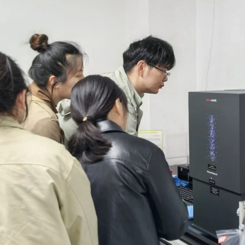 084048_376912_gsdt.jpg