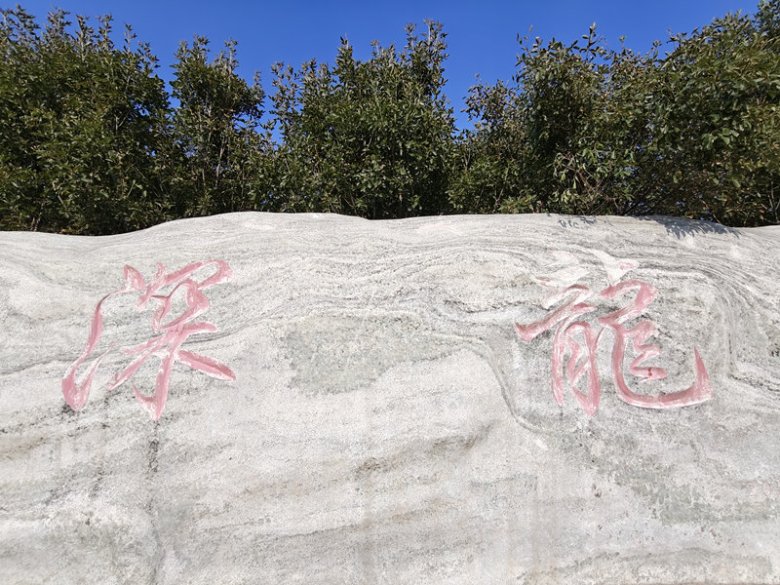 河北深龍醫(yī)藥有限公司.jpg
