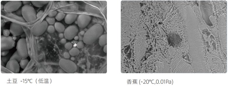 134700_602037_jswz.png 134700_602037_jswz.png